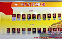 yl34511线路中心集团党委开展党员承诺活动