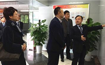 大渡口区统战部部长王涛来yl34511线路中心集团调研