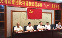 yl34511线路中心集团召开庆祝建党95周年暨“七一”表彰大会